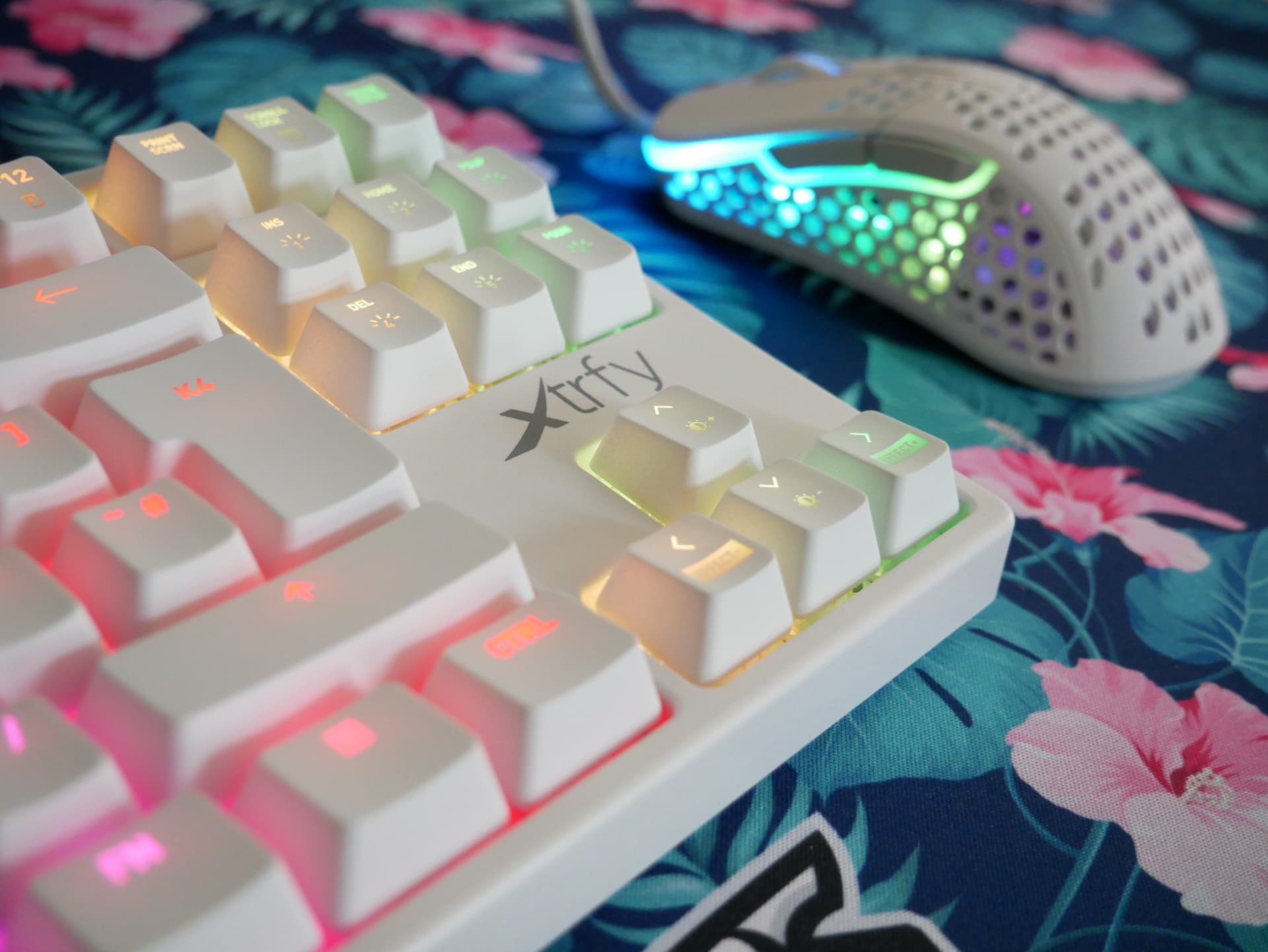 Xtrfy K4 TKL RGB」レビュー。一部キーの打鍵感が改良された、珍しい